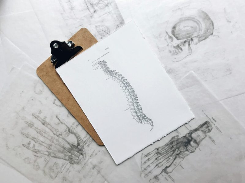 Medizin und Naturwissenschaft sind essenziell beim TMS