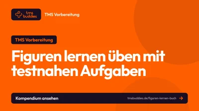 Figuren lernen Buch von tmsbuddies mit testnahen TMS-Aufgaben