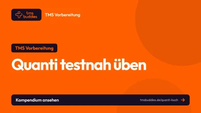 Quanti Buch von tmsbuddies mit testnahen TMS-Aufgaben zu Quanti